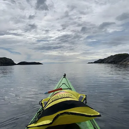 With Sea View In Daire Henningsvær